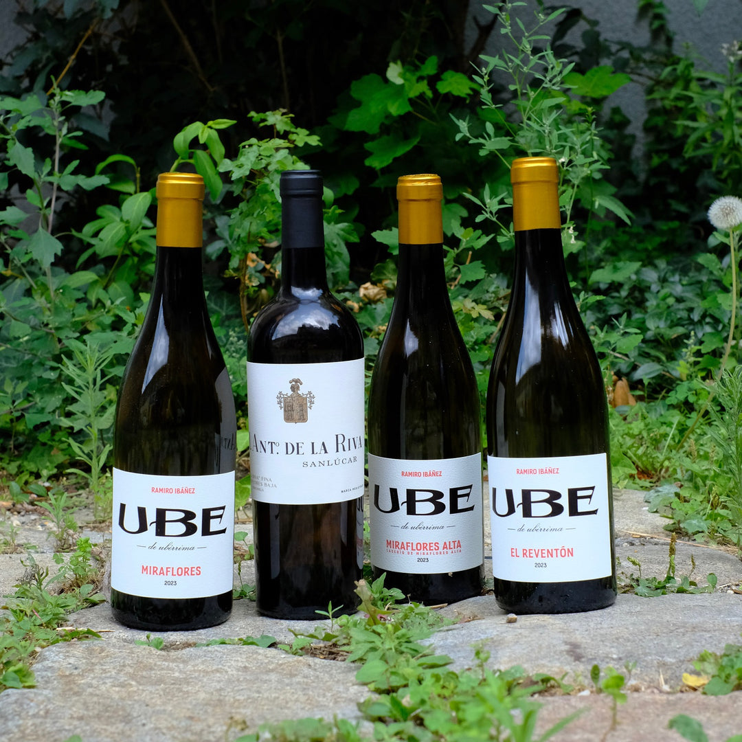Cota45 Weine aus Andalusien
