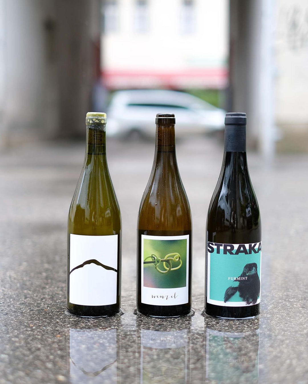 The Godfather of Furmint und seine Jünger!