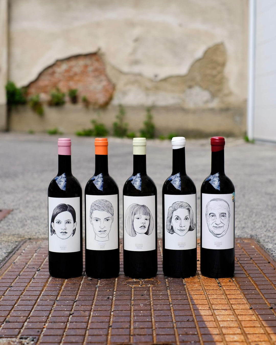 Wein Oggau