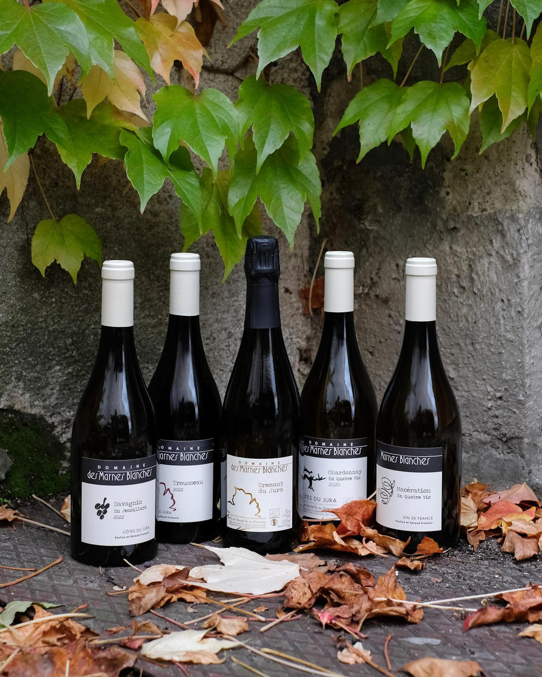 Domaine des Marnes Blanches - weißer Mergel Baby!
