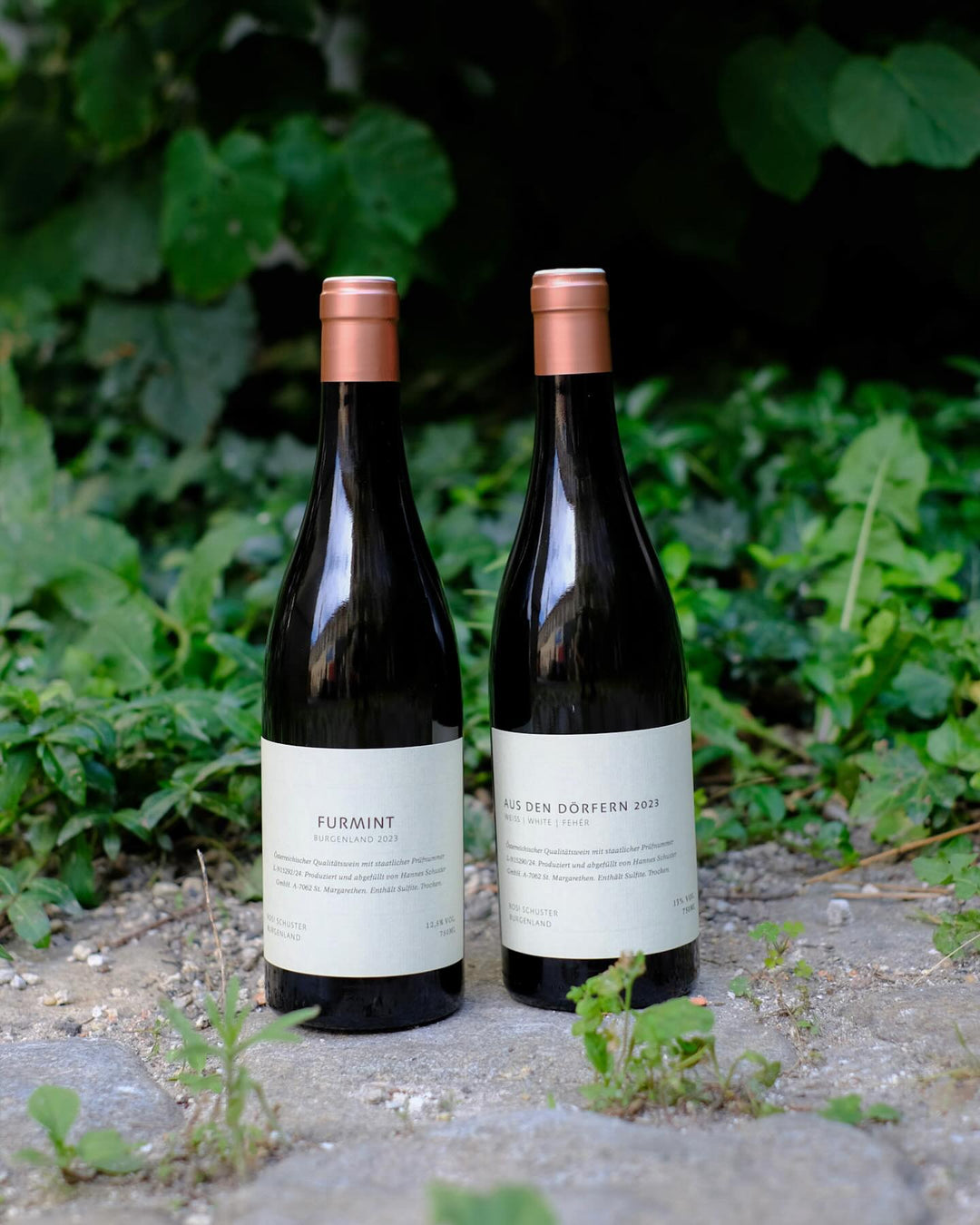 Weine von Hannes Schuster aus dem Burgenland