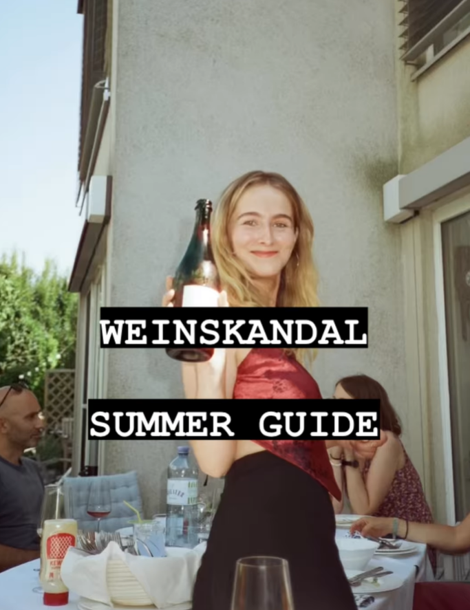 Weinskandal Sommer Guide PT1 - Andert Wein