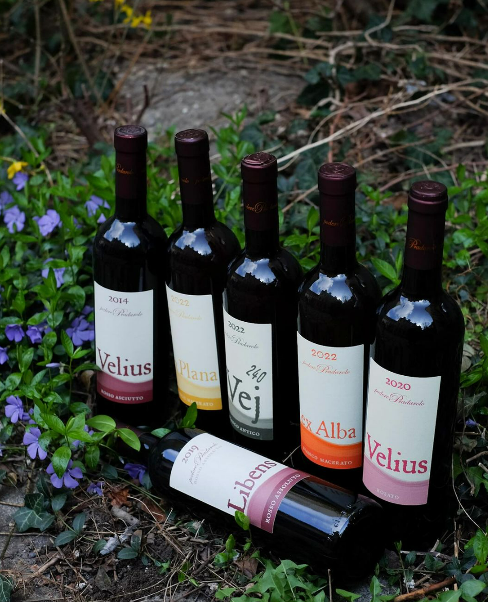 Kultweine von Podere Pradarolo