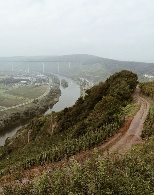 WEIN AUS DEUTSCHLAND