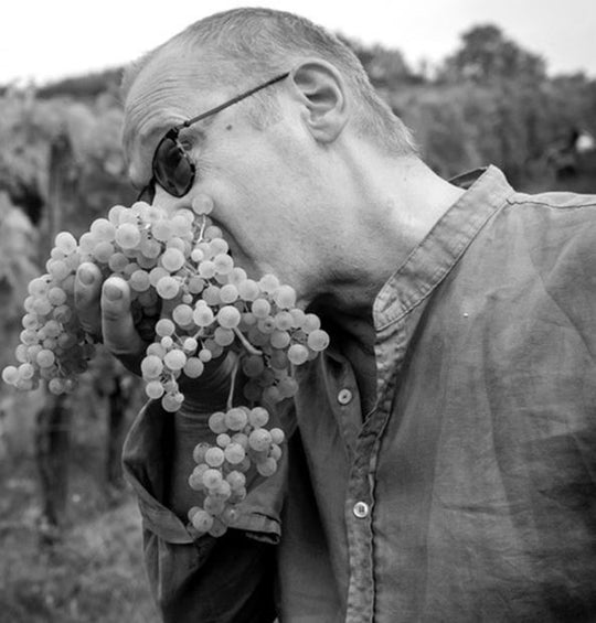 Wein aus Italien