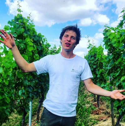 MARTO WINES