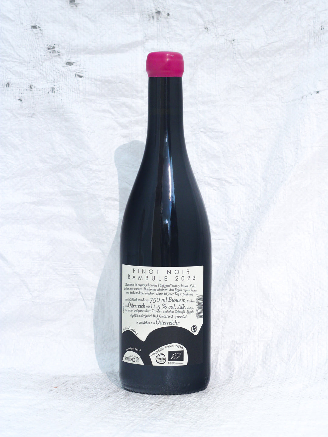 Biowein aus dem Burgenland Pinot Noir Bambule 2022 Beck