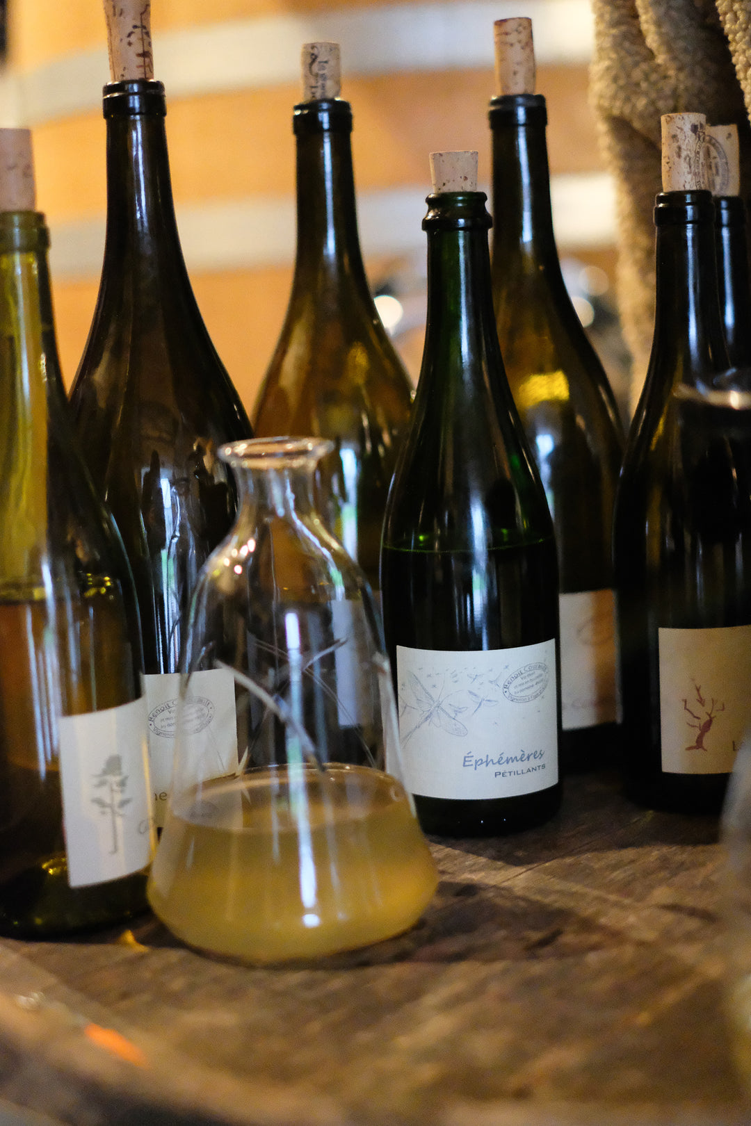 Benoit Courault Weine aus der
Loire in Frankreich