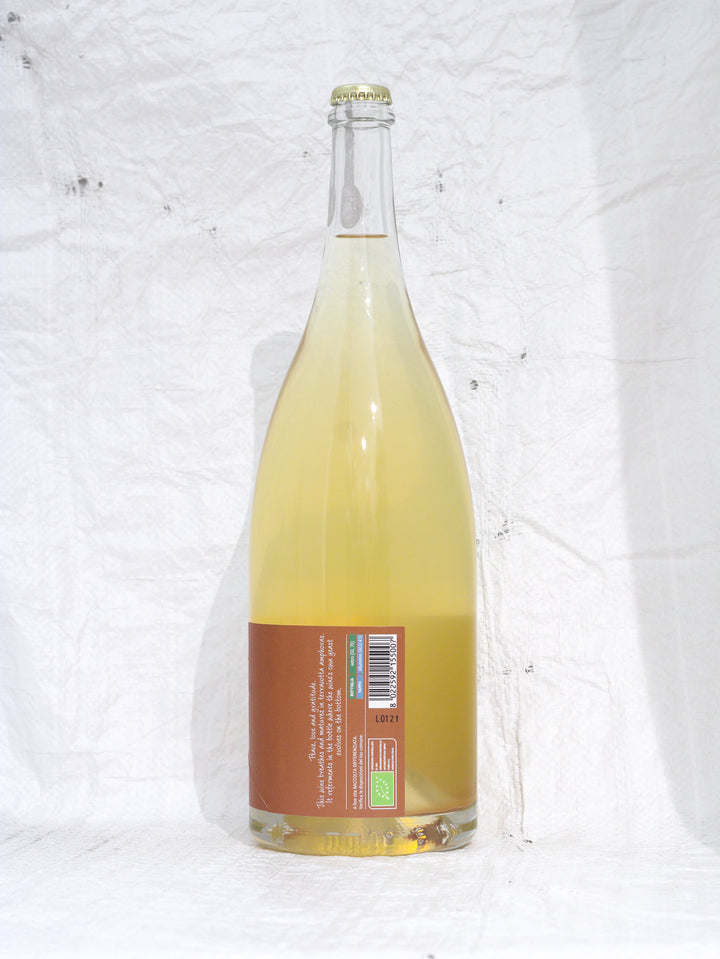 Casa Belfi Magnum Prosecco Colfondo Anfora 1,5Liter Bio
