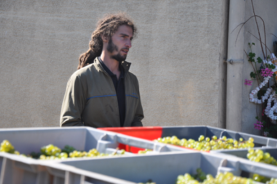 Winzer Etienne Thiebaud von der 
Domaine des Cavarodes im Jura in Frankreich