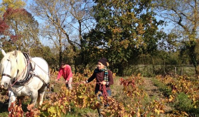 Winzer Stéphanie Debout & Vincent Bertin vom Weingut 
Deboutbertin von der Loire // Frankreich
