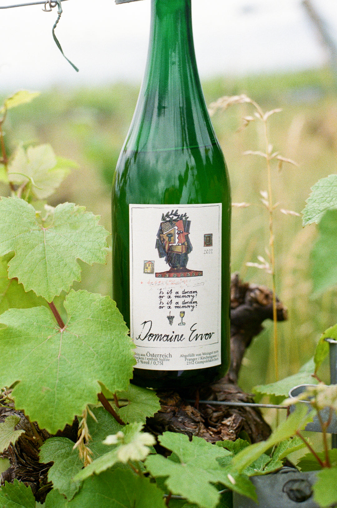 Wein von Stephan Grabuschnigg Domaine Error