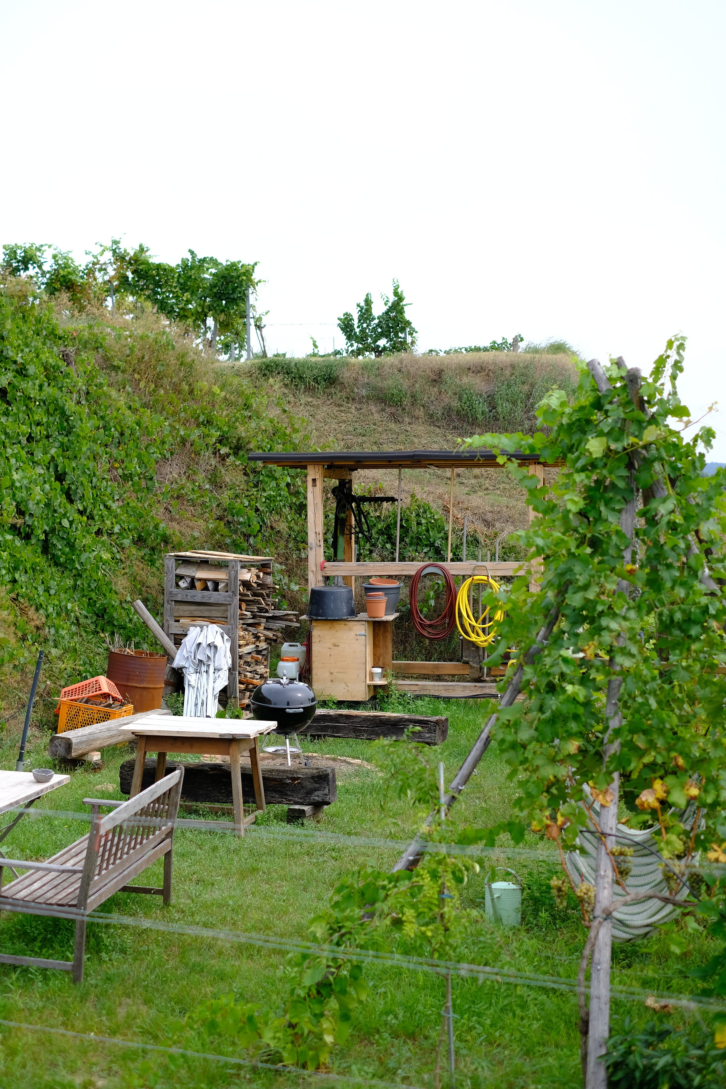 Weinskandal Gartenparty mit Grillerei