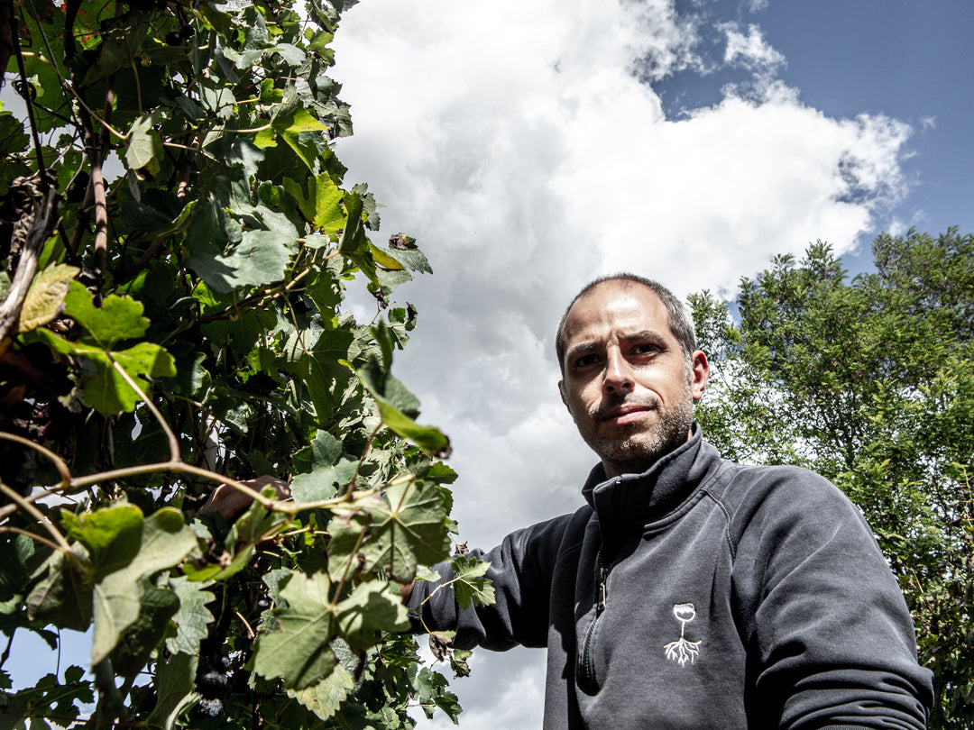 Winzer Gian Luca Colombo aus dem Piemont in Italien