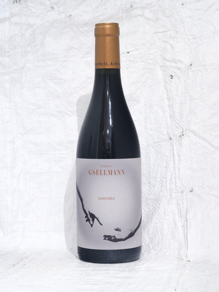 Pannobile Rot 2021 0,75L Bio Wein von Andreas Gsellmann