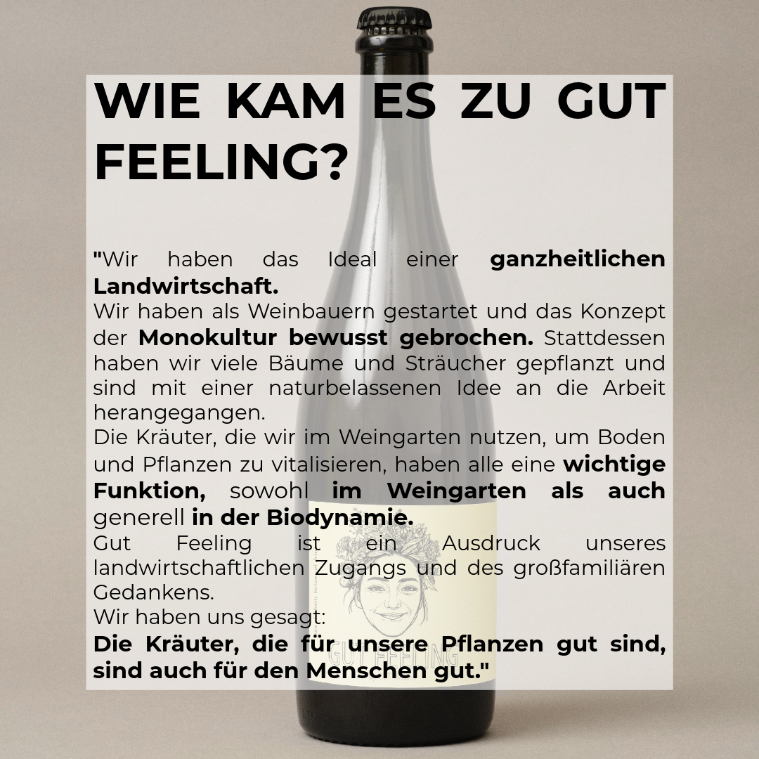 Gut Feeling Gut Oggau Alkoholfreies Getränk