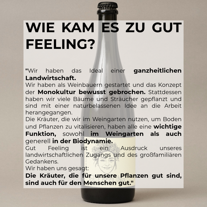 Gut Feeling Gut Oggau Alkoholfreies Getränk