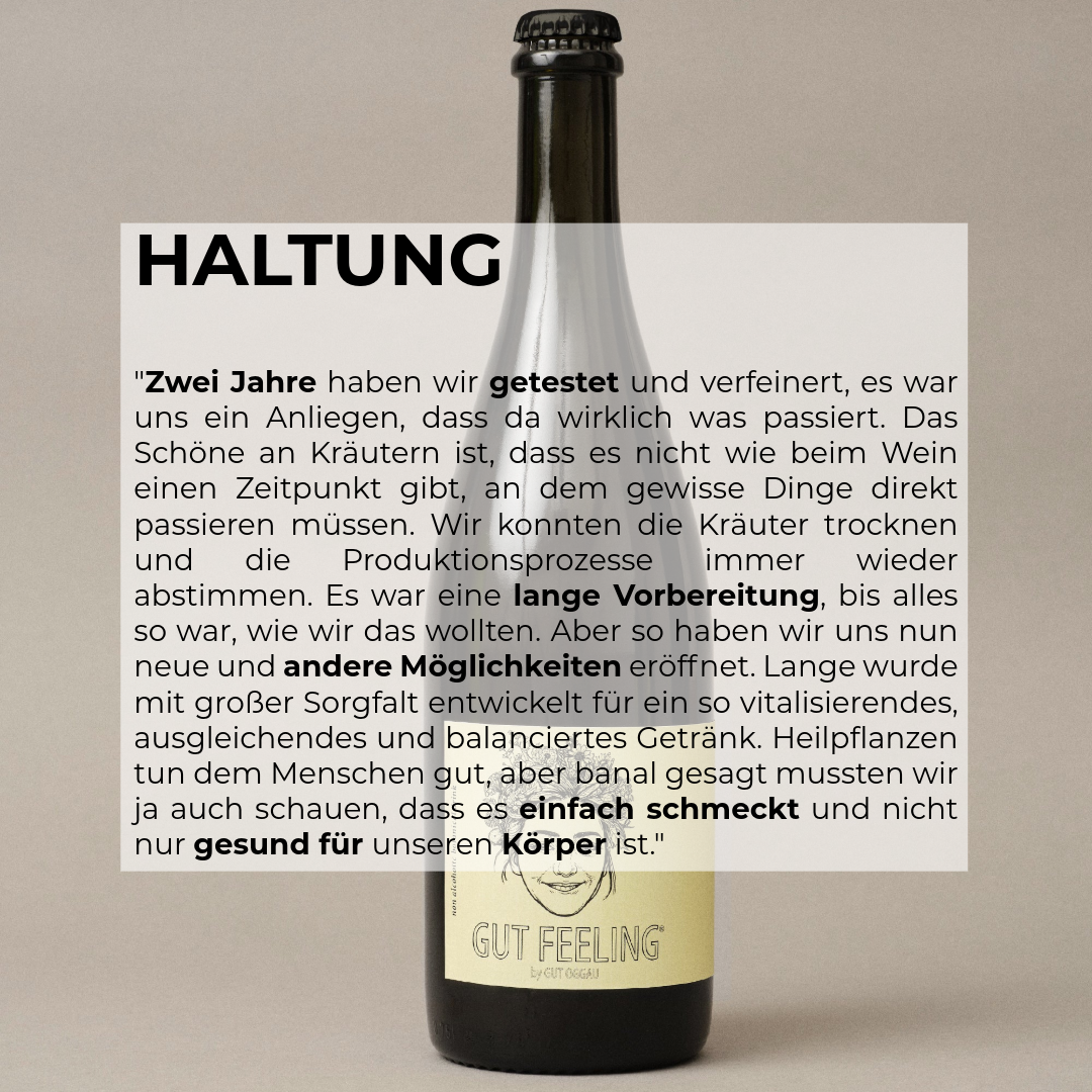 Gut Feeling Alkoholfreies Getränk von Gut Oggau 