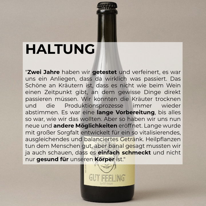 Gut Feeling Alkoholfreies Getränk von Gut Oggau 