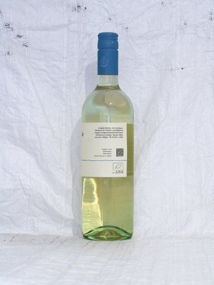 Gelber Muskateller 2024 0,75L Bio Wein von Matthias Hager