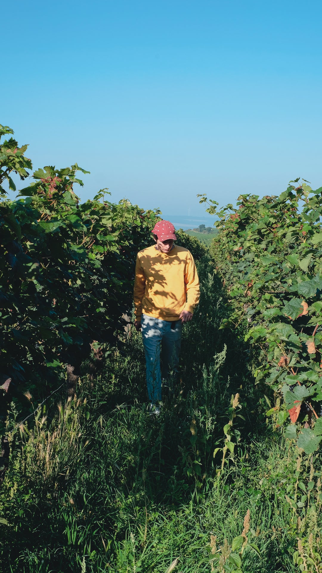 Martin Otto Wörner - Marto Wines
Rheinhessen // Deutschland