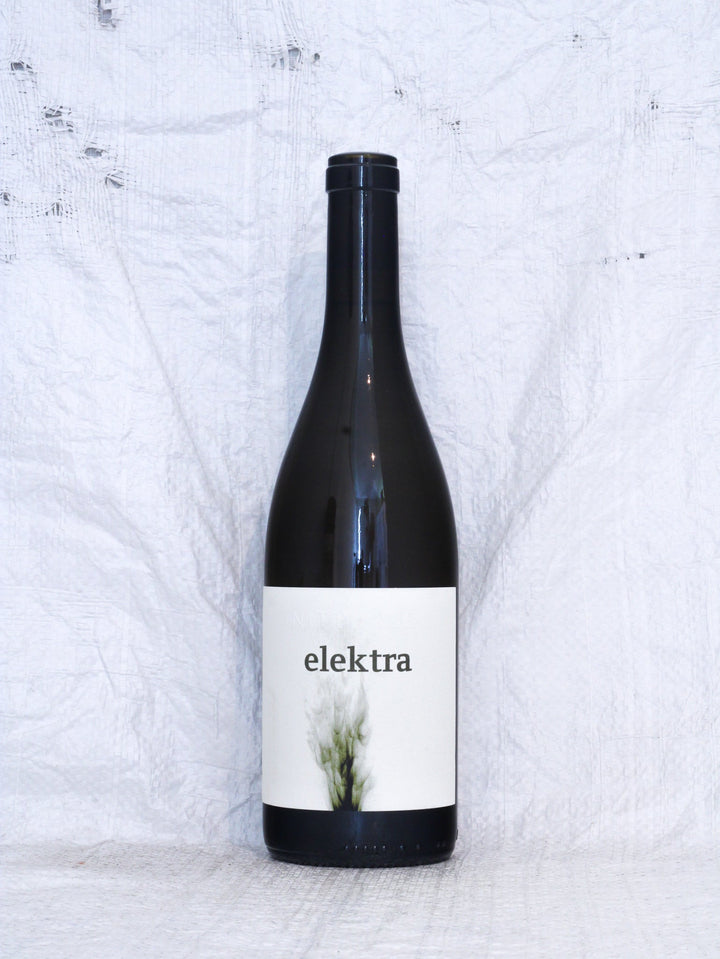 Gv Elektra 2023 0,75L Bio Wein von Martin Andreas & Lydia Nittnaus