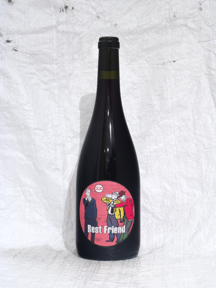 Best Friend 2022 0,75L Bio Wein von Gerhard & Brigitte Pittnauer