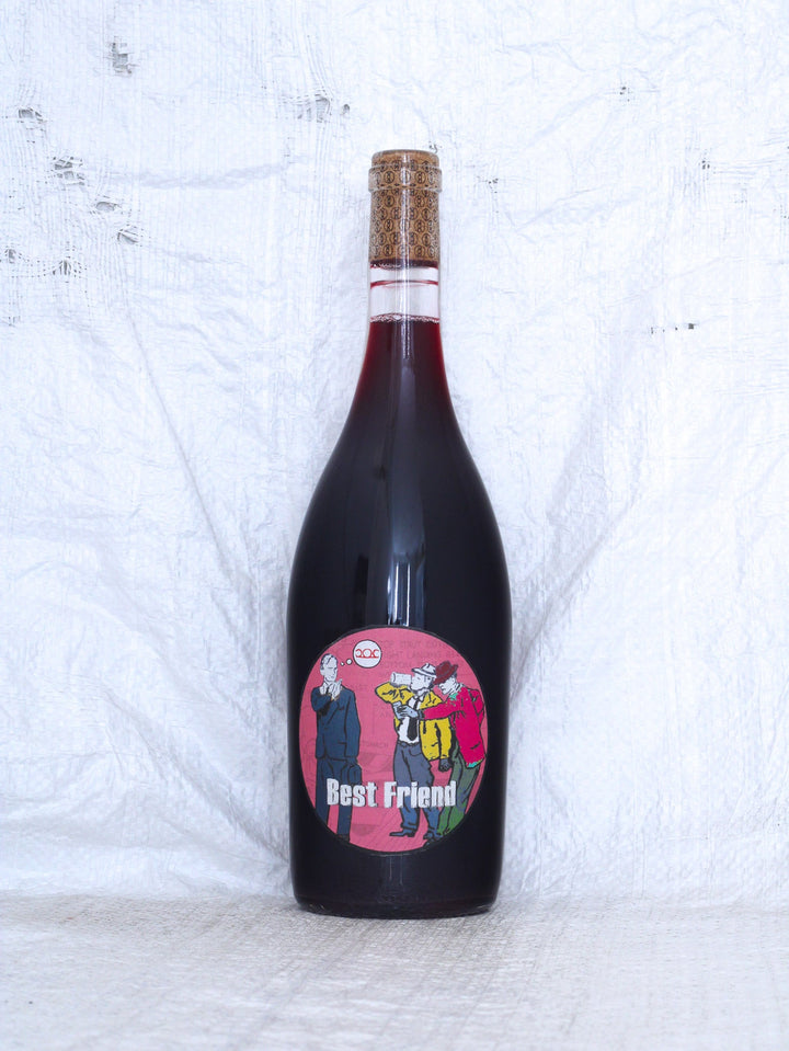 Best Friend 2024 0,75L Bio Wein von Gerhard & Brigitte Pittnauer