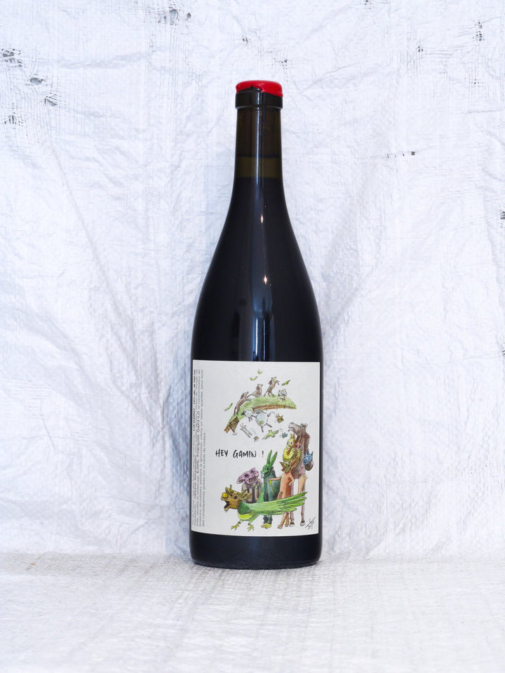Hey Gamin! 2023 0,75L Wein von François Saint-Lô