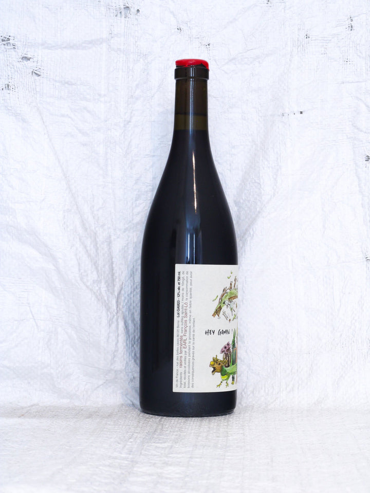 Hey Gamin! 2023 0,75L Wein von François Saint-Lô