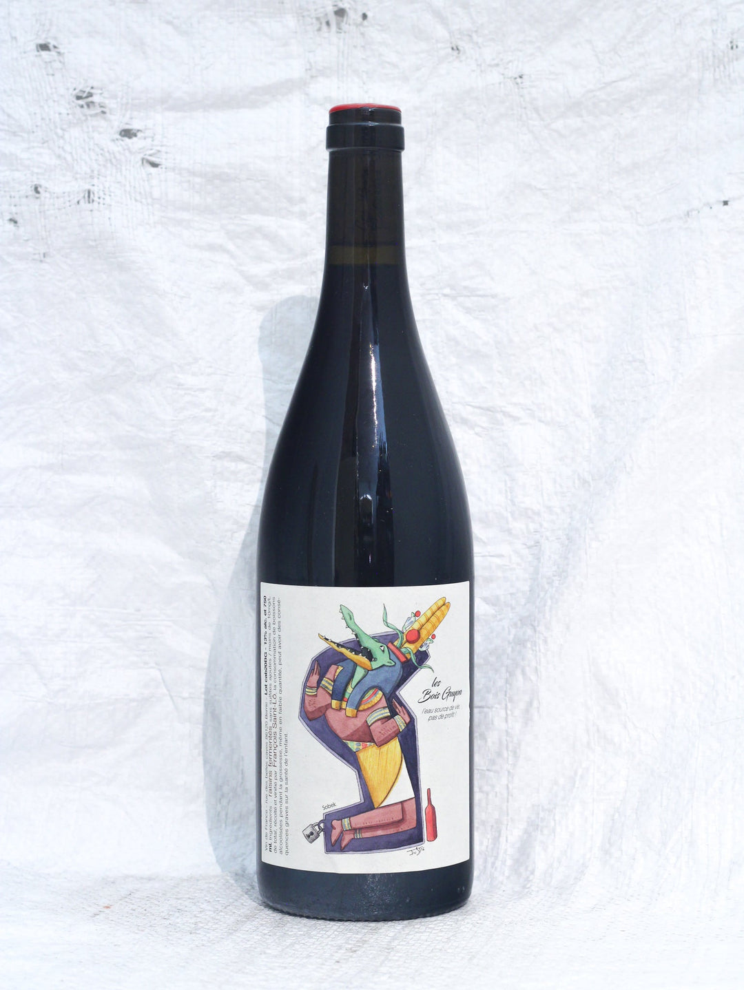 Bois Guyon 2020 0,75L Wein von François Saint-Lô