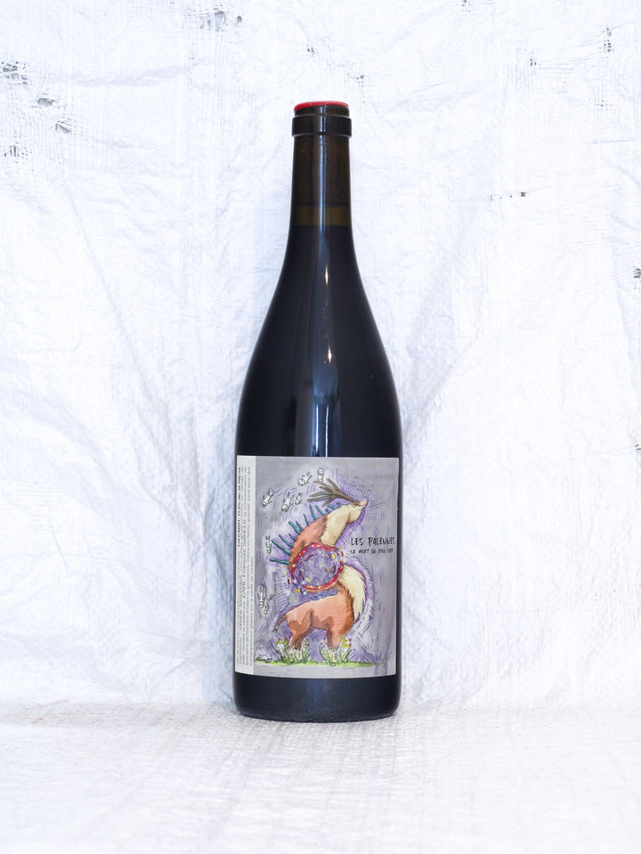 Les Palennes 2021 0,75L Wein von François Saint-Lô