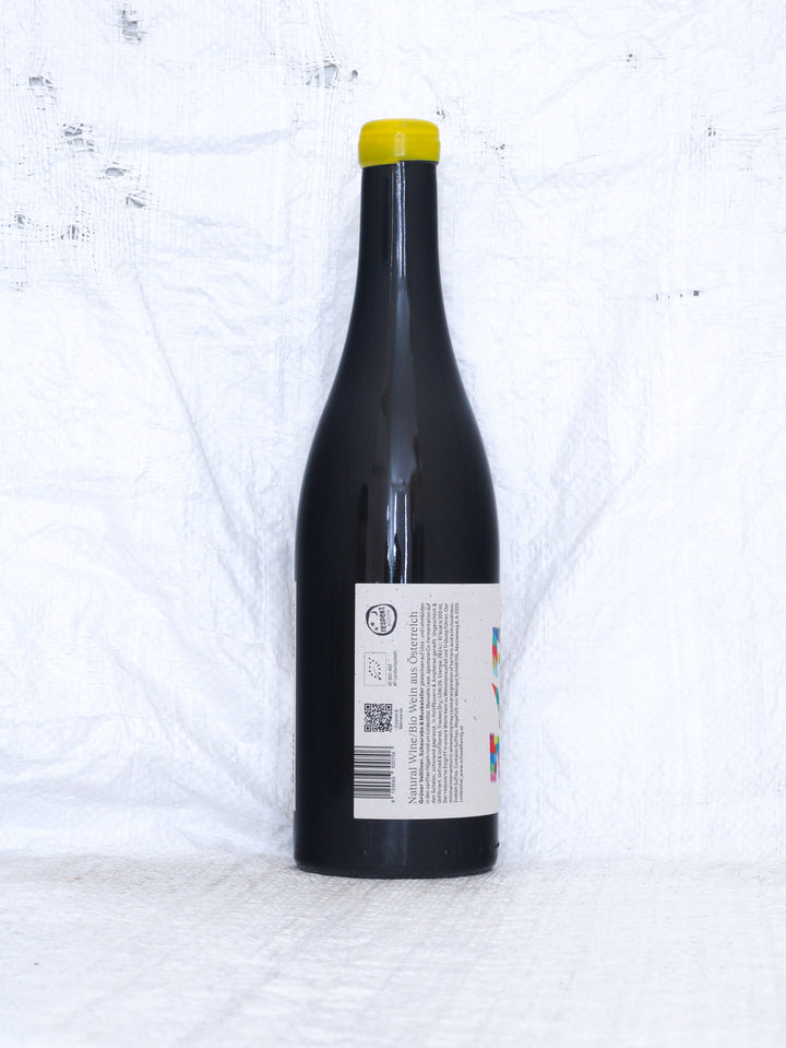 Schödl Family
Free your Mind 2025 Bio Orange Wein aus dem Weinviertel