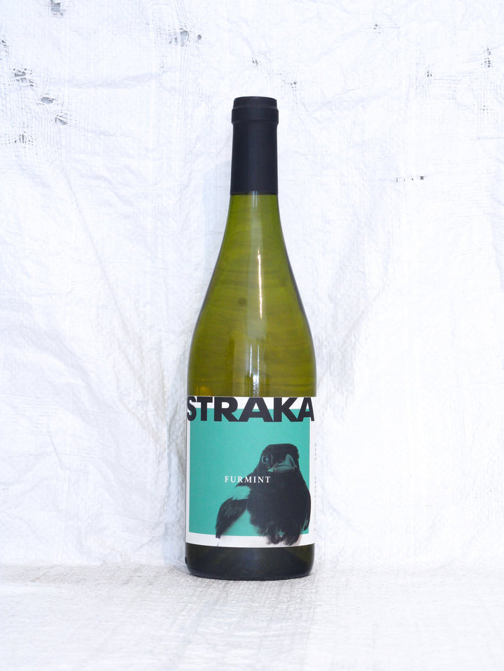 Furmint 2023 0,75L Bio Wein von Thomas Straka