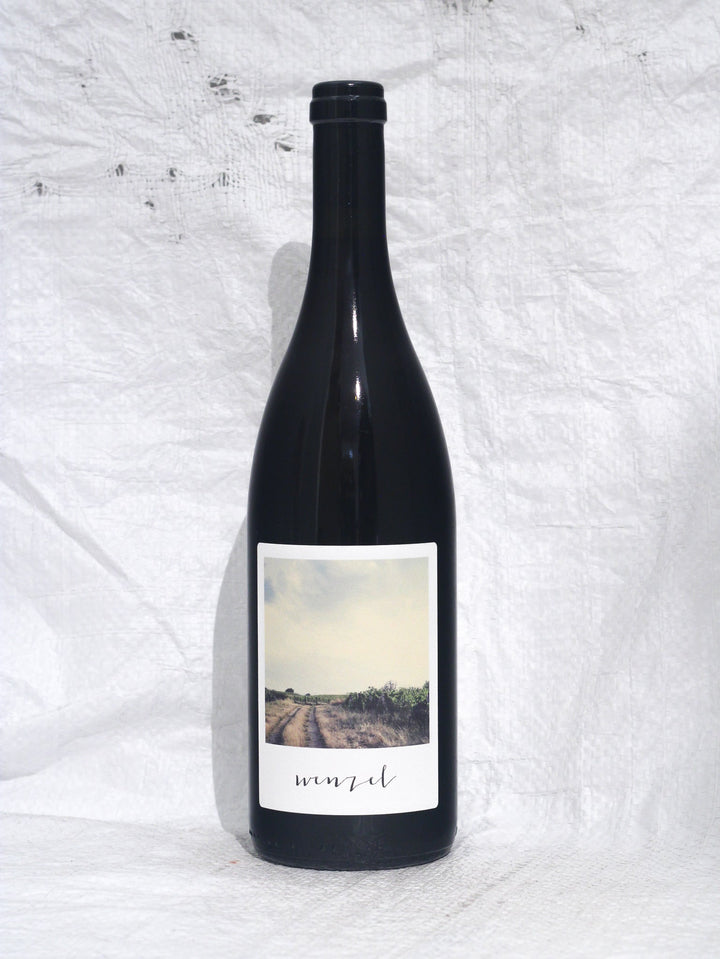 Pinot Noir Analogue N°7 2023 0,75L Bio Wein von Michael Wenzel