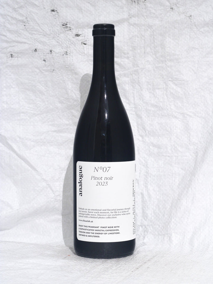 Pinot Noir Analogue N°7 2023 0,75L Bio Wein von Michael Wenzel