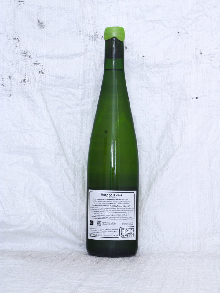 Bistro Louis Severine
Green Ants 2024 Bio Weißwein aus Frankreich