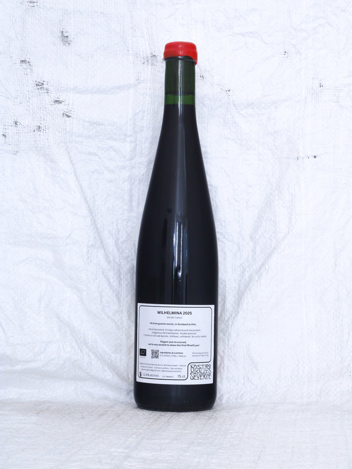 Bistro Louis Severine
Wilhelmina 2025 Bio Rotwein aus Frankreich