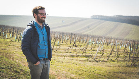 Winzer Franz Weninger in seinem Weingarten in Horitschon im Burgenland
