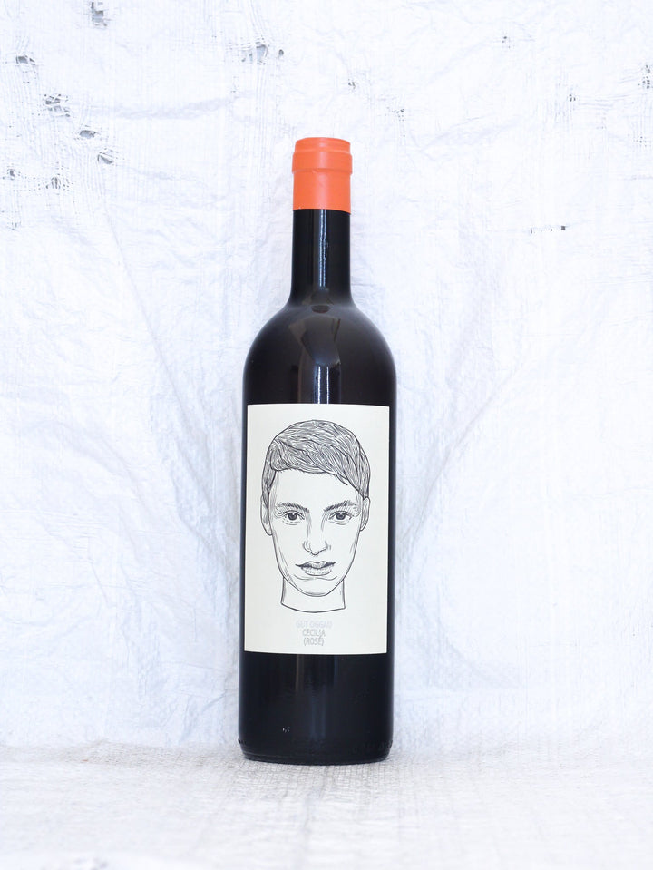Vorderansicht der Flasche Gut Oggau Cecilia 2023. Ein lebendiger, biodynamischer Gemischter Satz (weiß & rot gelesen) aus Oggau. Ein heller Rotwein-Rosé-Hybrid, unfiltriert und spontanvergoren.