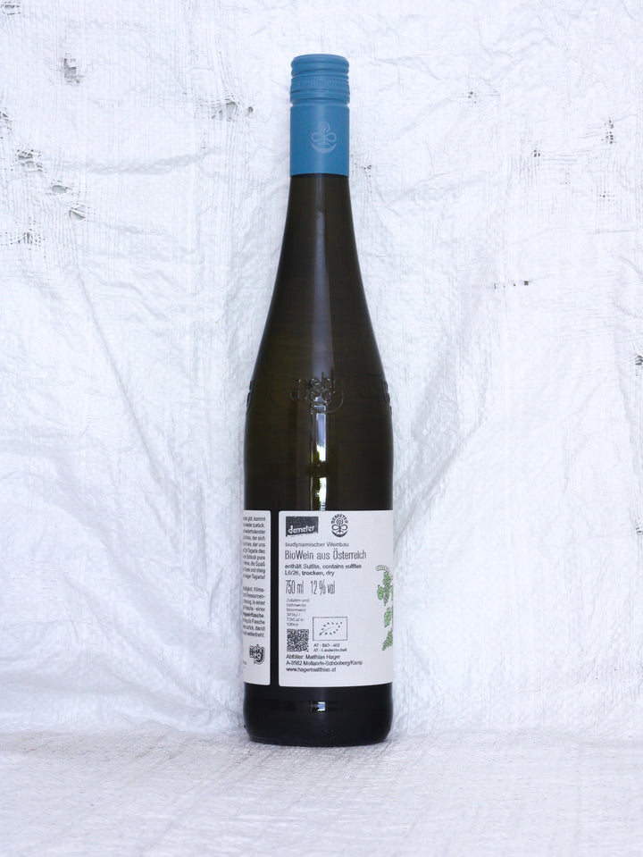 Riesling Tagada NV - Matthias Hager | Unfiltrierter Kamptal Weisswein