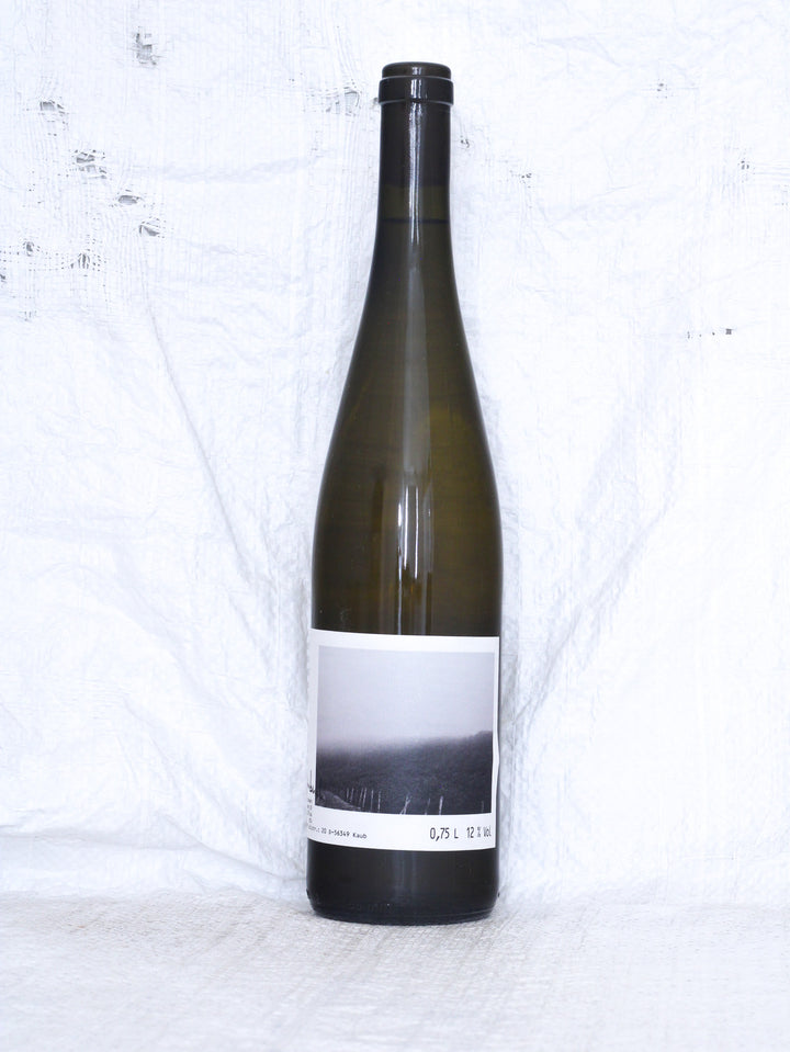 Riesling Thal 2024 vom Weingut Hainbusch – Bio Riesling aus Deutschland mit Vorderetiket